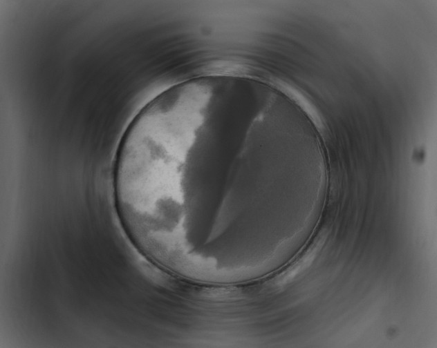 X0000102841434200809021326