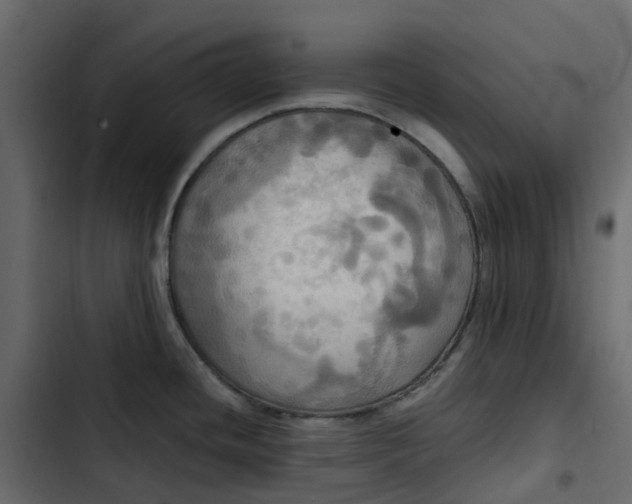 X0000102841436200809021326