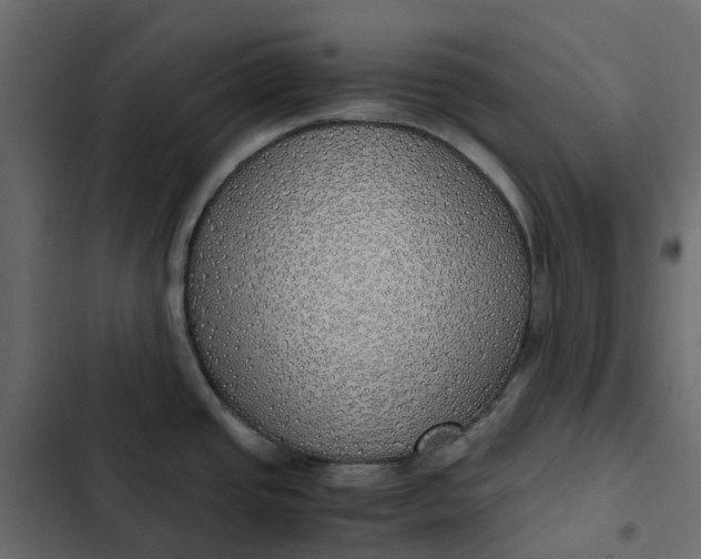 X0000102841437200809021326