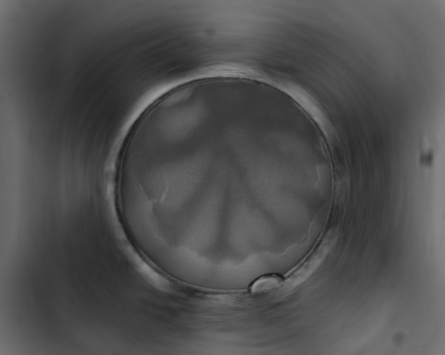 X0000102841438200809021326