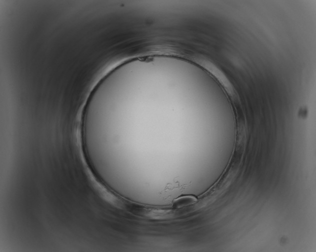 X0000102841439200809021326