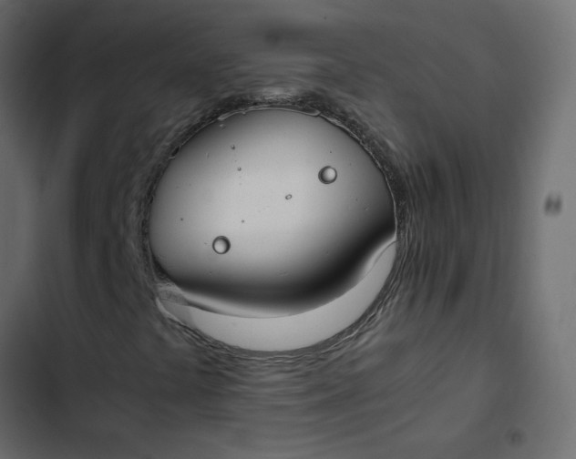 X0000102841441200809021325