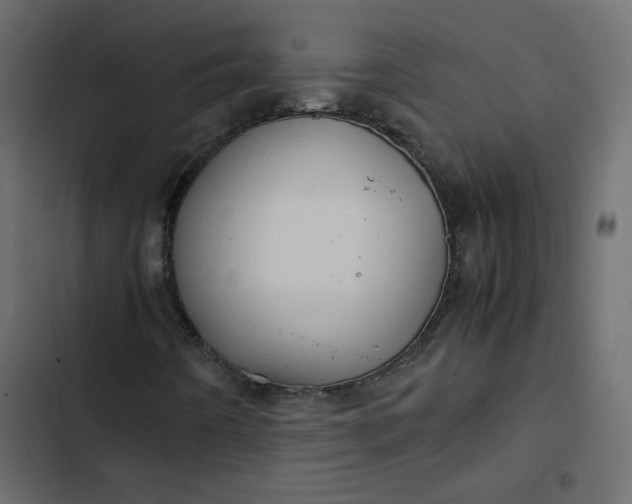 X0000102841442200809021325