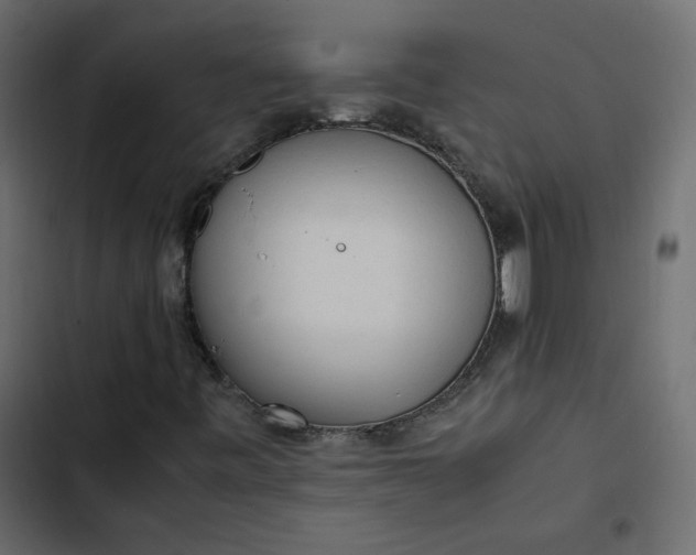 X0000102841443200809021325