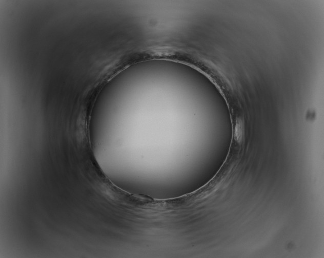 X0000102841444200809021325