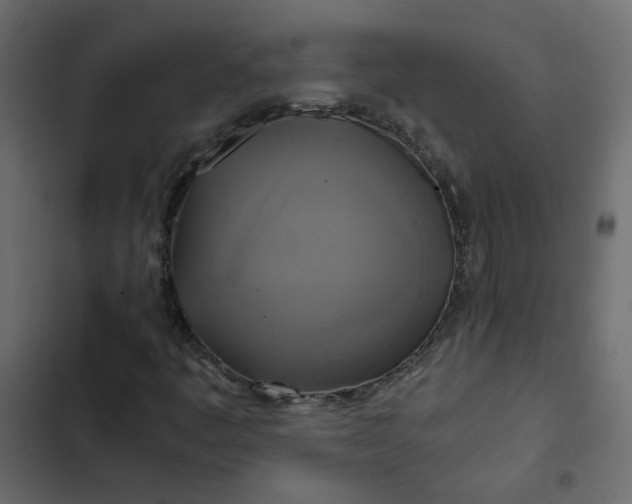 X0000102841445200809021325