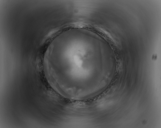 X0000102841446200809021325