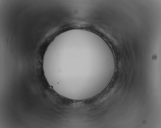 X0000102841447200809021325