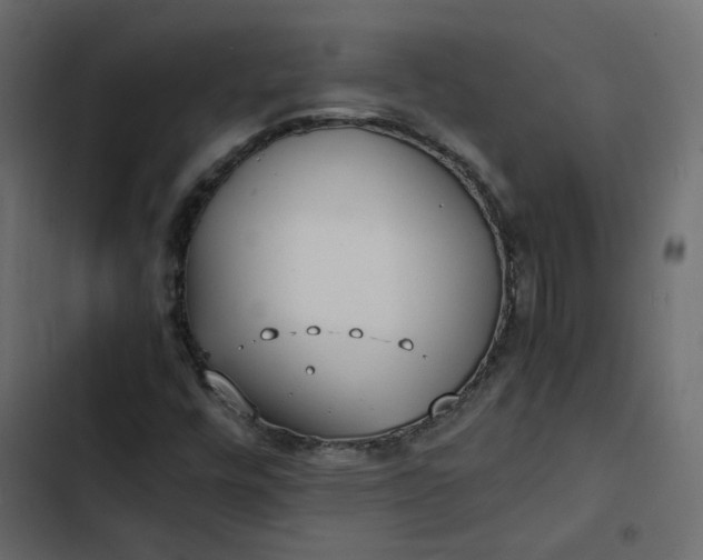 X0000102841448200809021325