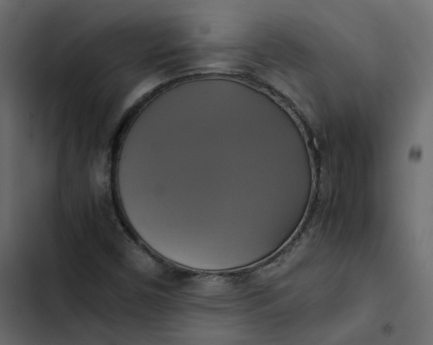 X0000102841450200809021325