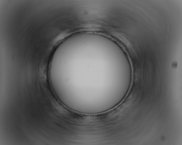 X0000102841451200809021325