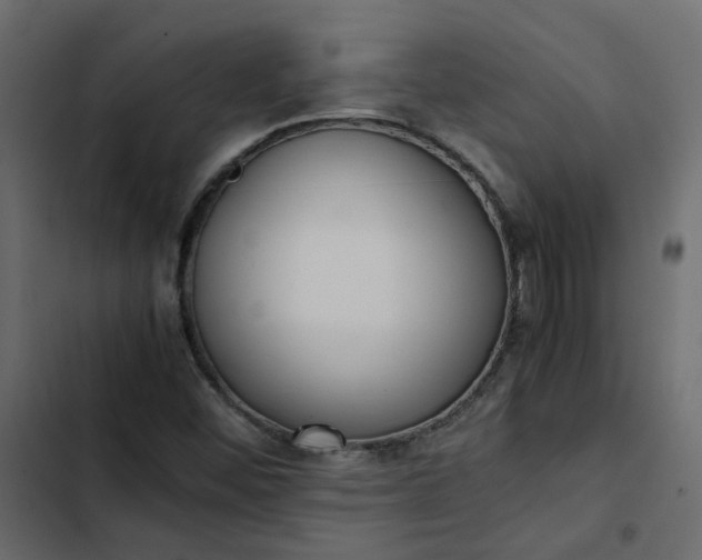 X0000102841452200809021325