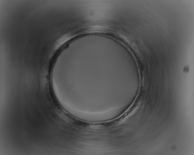 X0000102841453200809021325