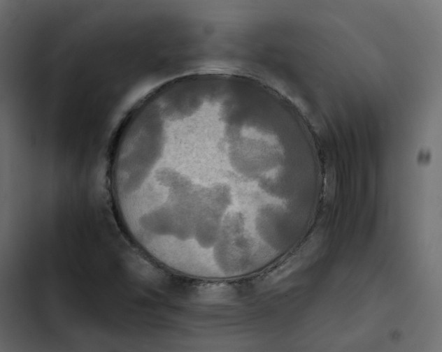 X0000102841454200809021325