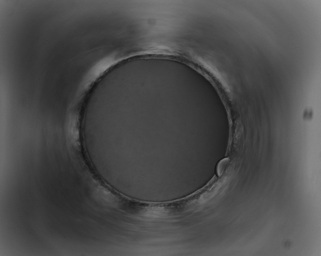 X0000102841455200809021325