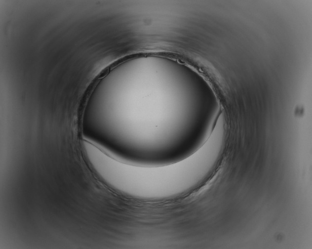 X0000102841457200809021325