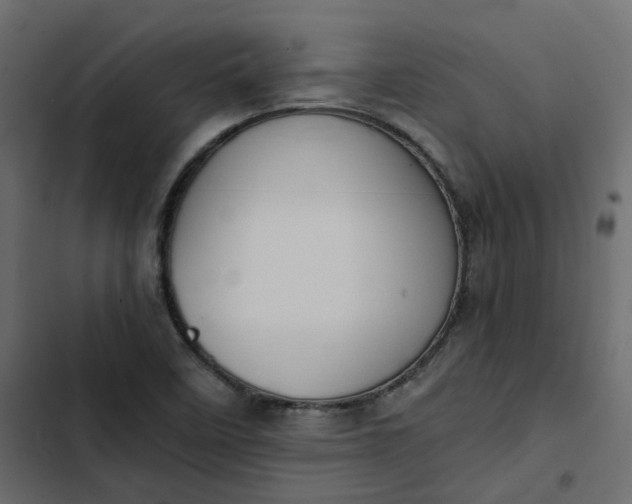 X0000102841458200809021325