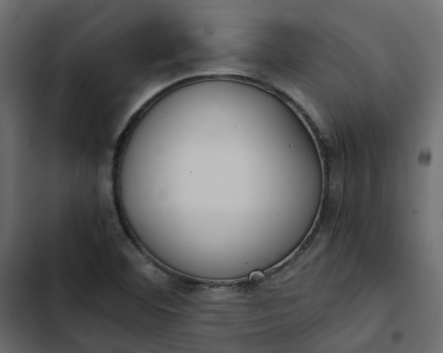 X0000102841460200809021325