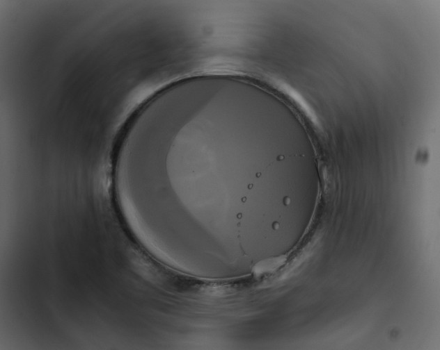 X0000102841461200809021325