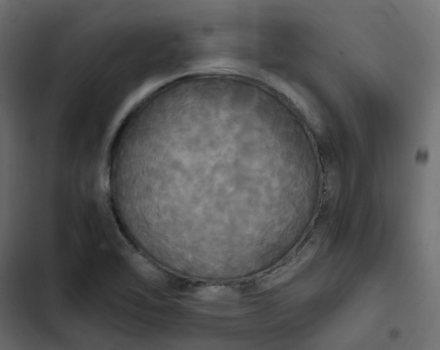 X0000102841462200809021325