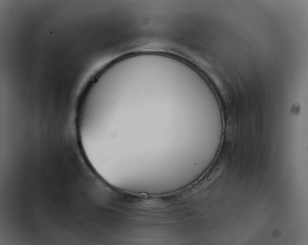 X0000102841464200809021325