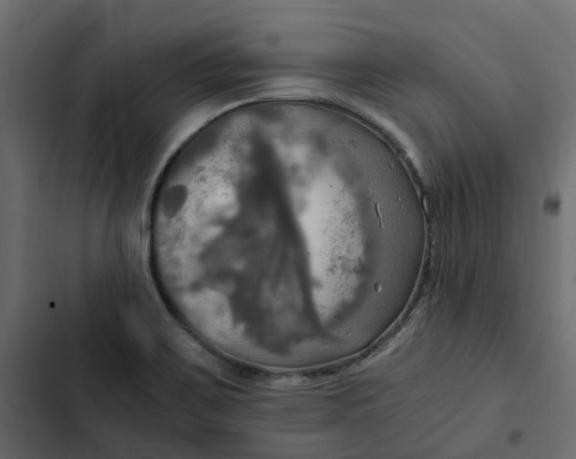 X0000102841467200809021325