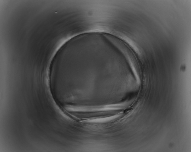 X0000102841468200809021325