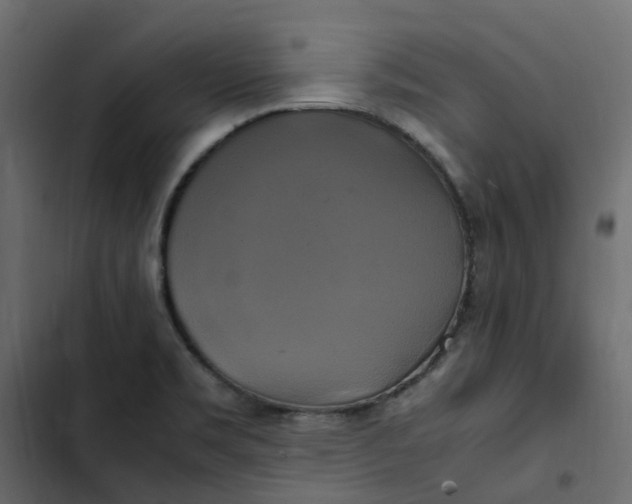 X0000102841469200809021325