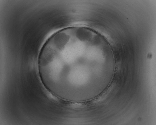 X0000102841470200809021325