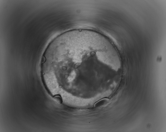 X0000102841471200809021325