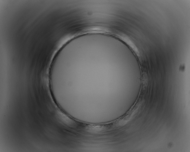 X0000102841474200809021325