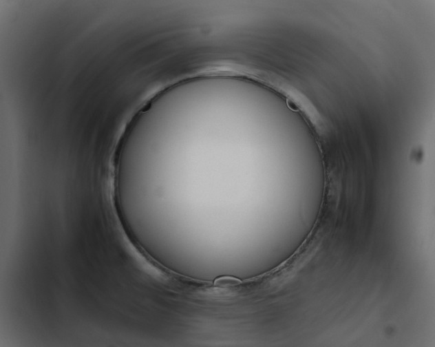 X0000102841476200809021325