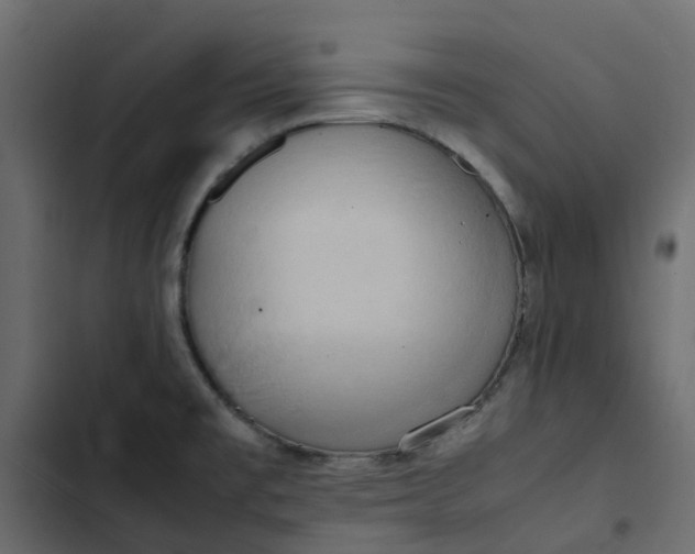 X0000102841477200809021325