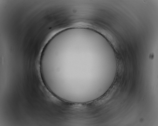 X0000102841478200809021325