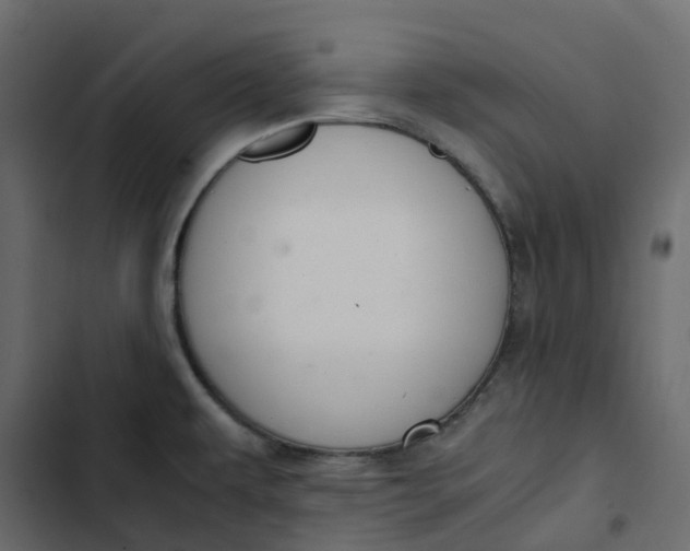 X0000102841479200809021325