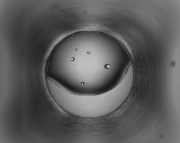 X0000102841480200809021325