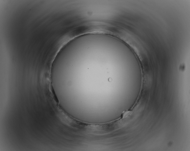 X0000102841481200809021325