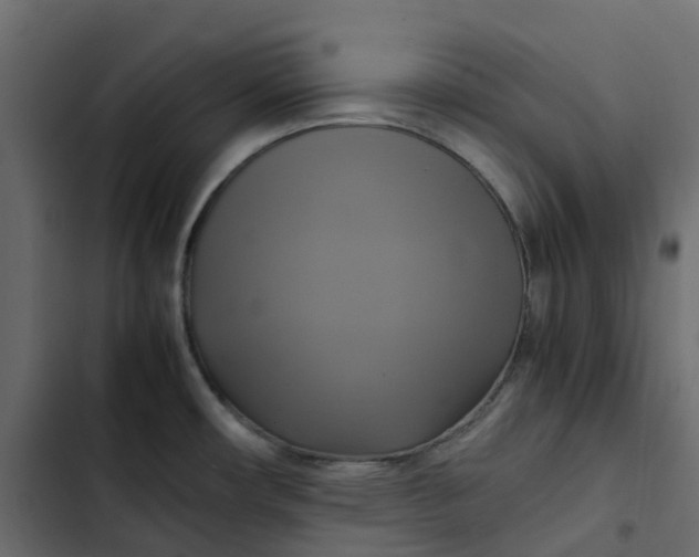 X0000102841482200809021325