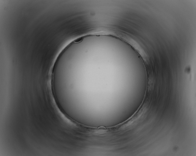 X0000102841484200809021325