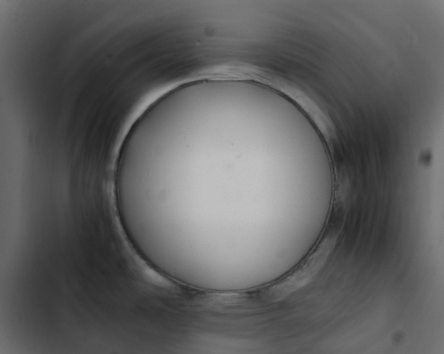 X0000102841486200809021325