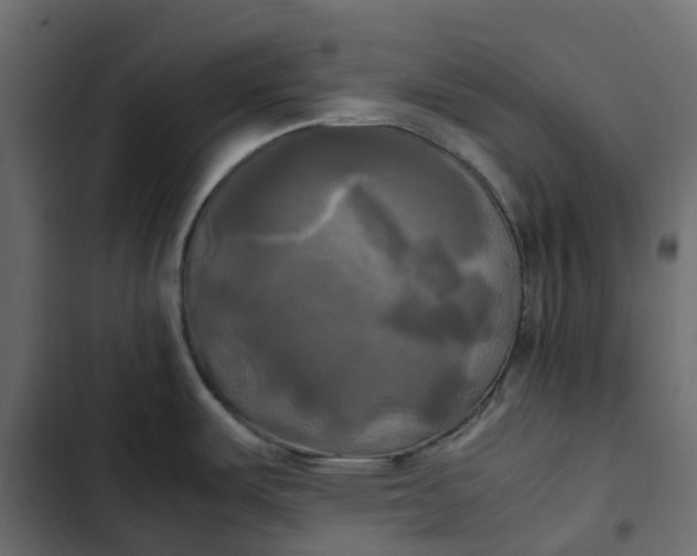 X0000102841487200809021325