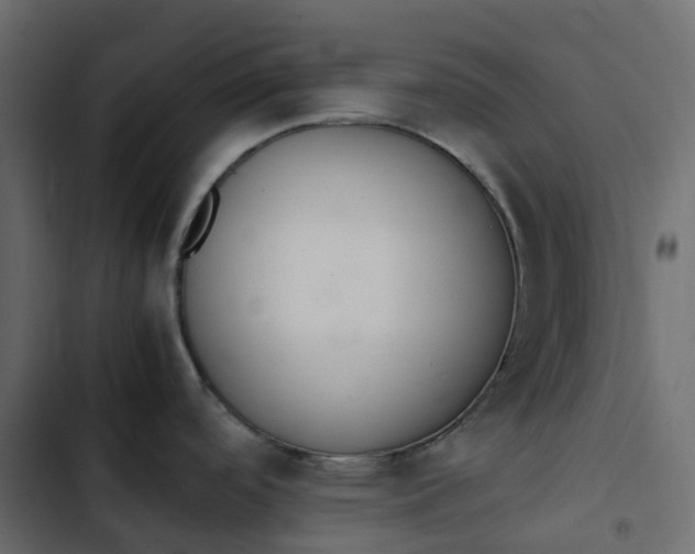 X0000102841488200809021325