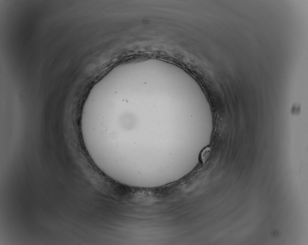 X0000102841489200809021324