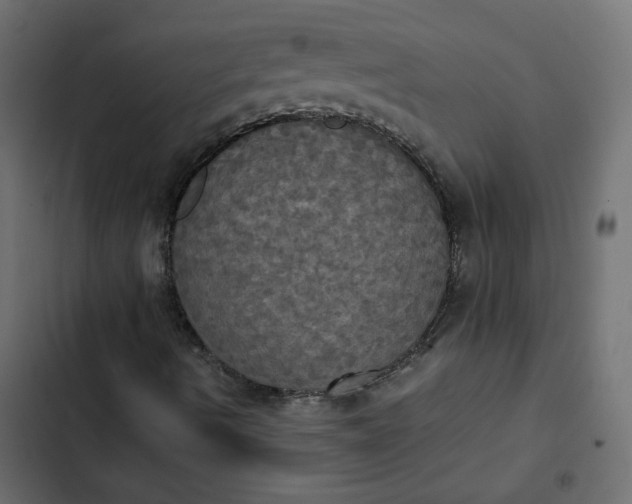 X0000102841490200809021324