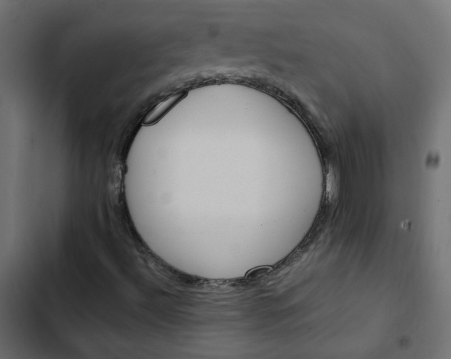 X0000102841492200809021324