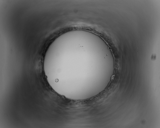 X0000102841493200809021324