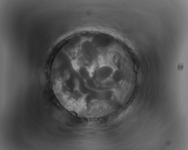 X0000102841494200809021324