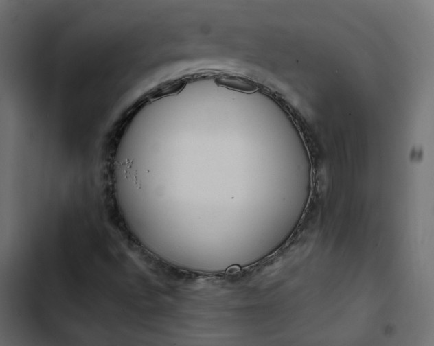 X0000102841496200809021324