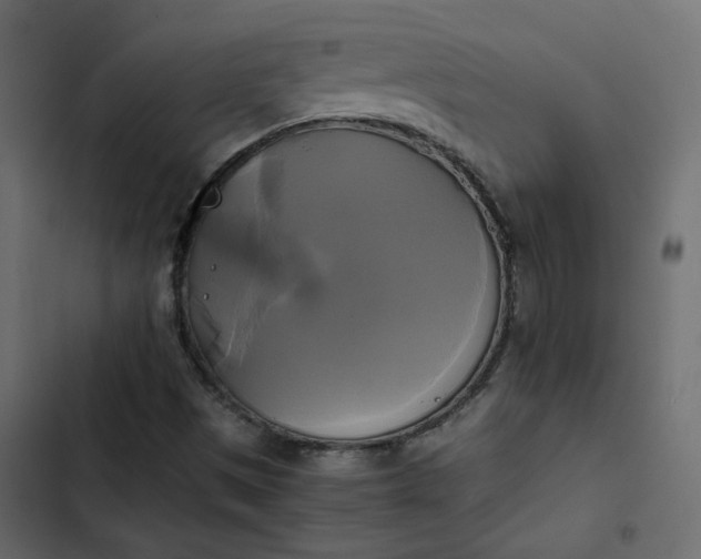 X0000102841497200809021324