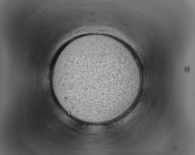 X0000102841498200809021324